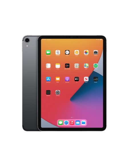 Apple iPad Pro 11" 1st gen  64GB  WiFi  LTE Grigio Siderale PREMIUM